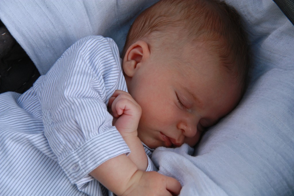 sieste-a-lombre