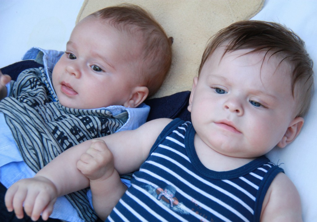 petits-freres